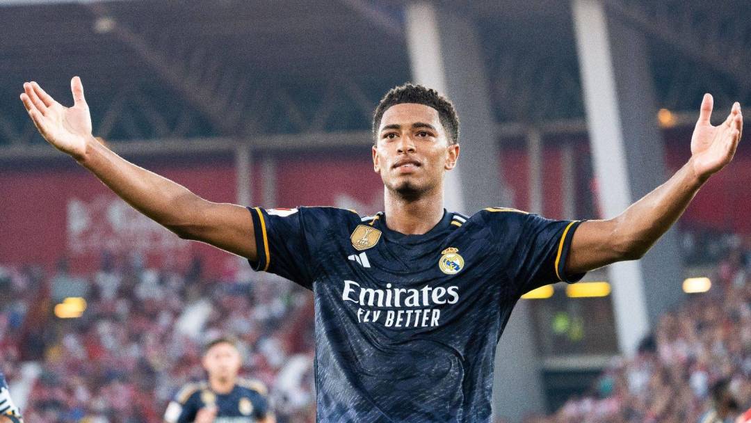 提前包揽了 提前包揽了