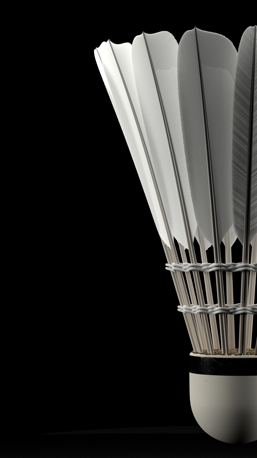 下来的赛季 下来的赛季