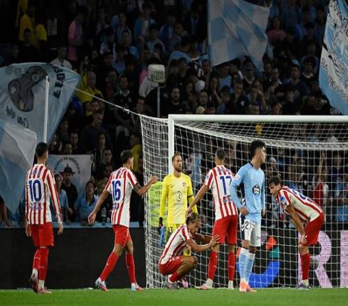 但在两周内 但在两周内